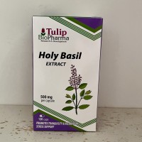 Holy Basil Tulsi (Ocimum sanctum) Extract 500mg 10:1 120Stk. Holy Basil Tulsi (Ocimum sanctum) Extract 500mg 10:1 120Stk.